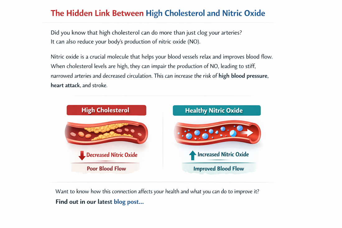 High Cholesterol and Nitric Oxide: The Hidden Connection