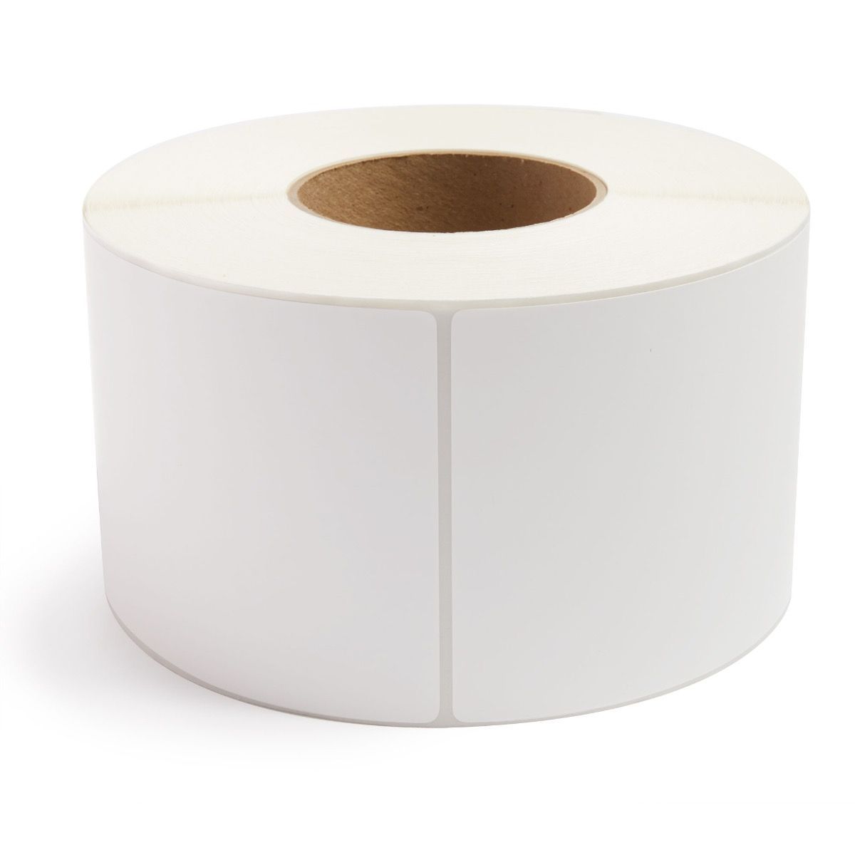 Cholestech LDX Printer Paper Roll